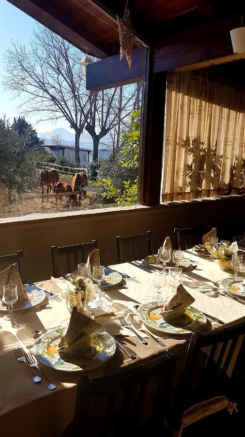 La Collina Dei Cavalieri Villa Belvedere Ostrense Ngoại thất bức ảnh
