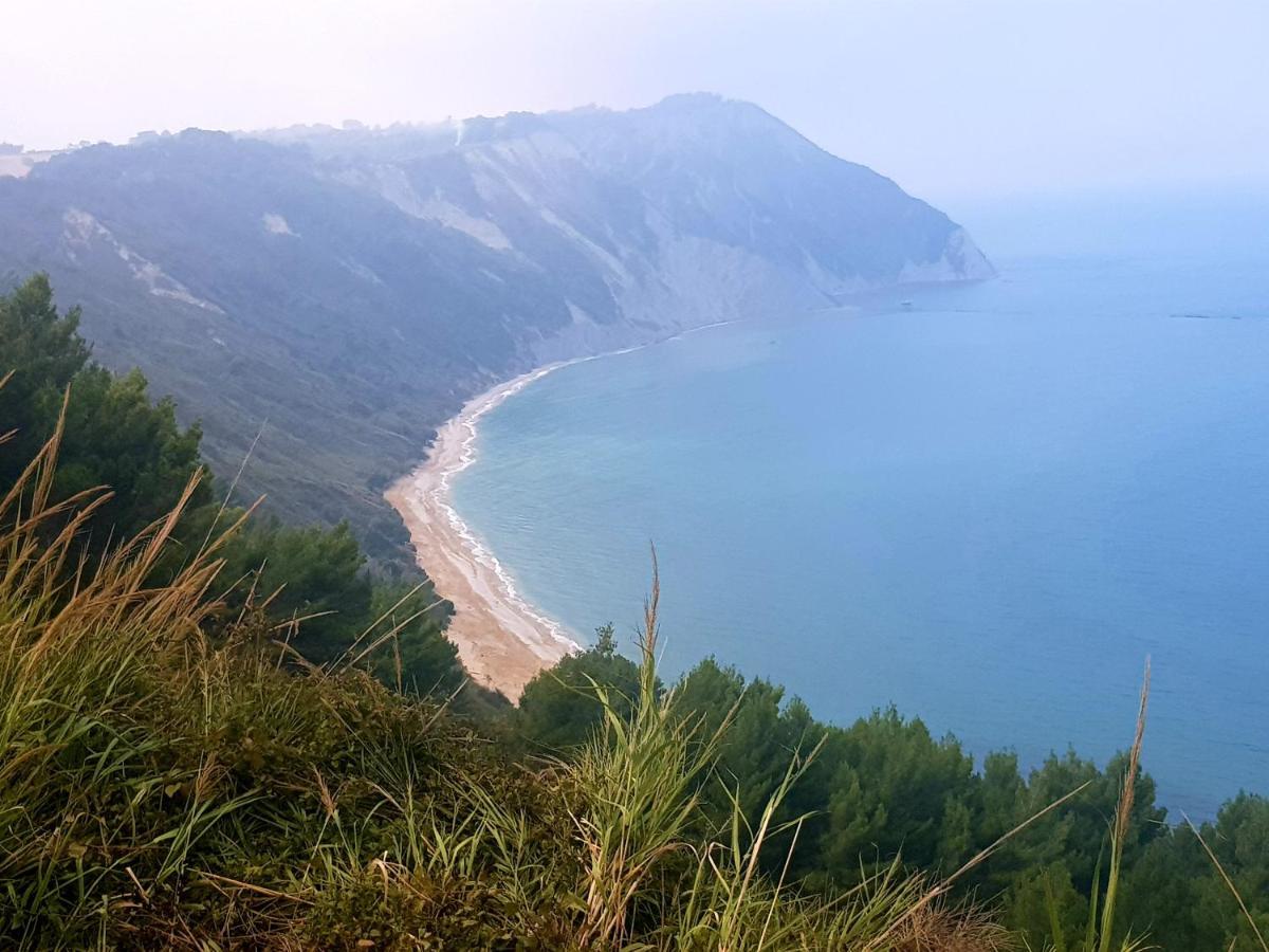 La Collina Dei Cavalieri Villa Belvedere Ostrense Ngoại thất bức ảnh