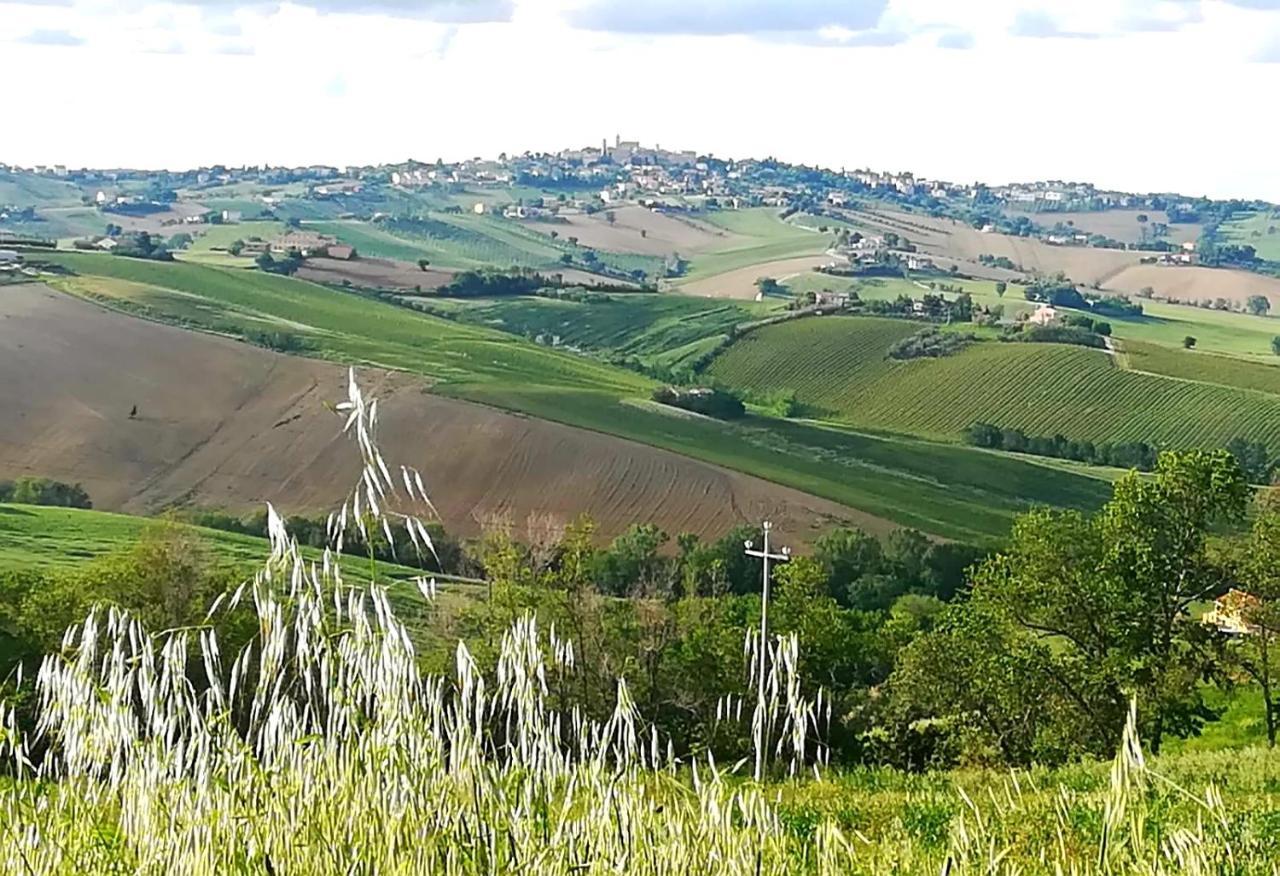 La Collina Dei Cavalieri Villa Belvedere Ostrense Ngoại thất bức ảnh