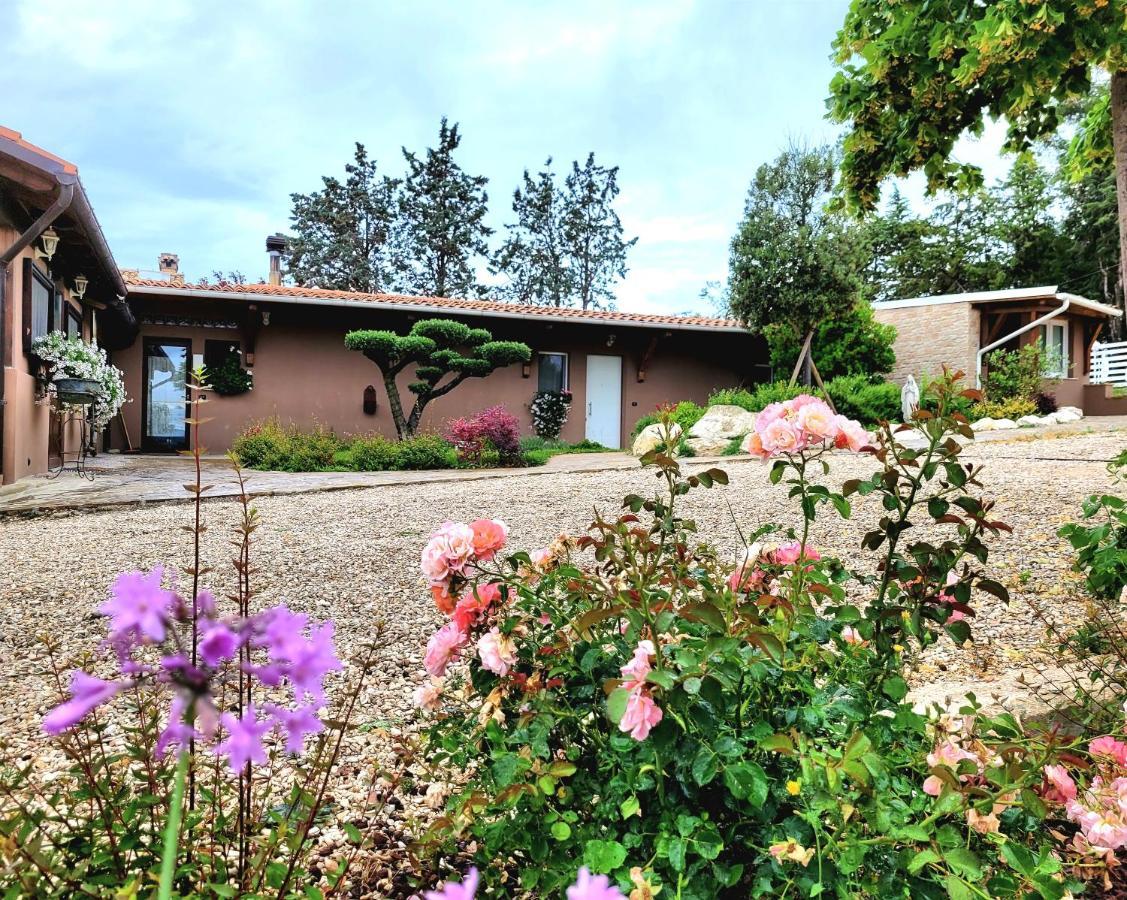La Collina Dei Cavalieri Villa Belvedere Ostrense Ngoại thất bức ảnh