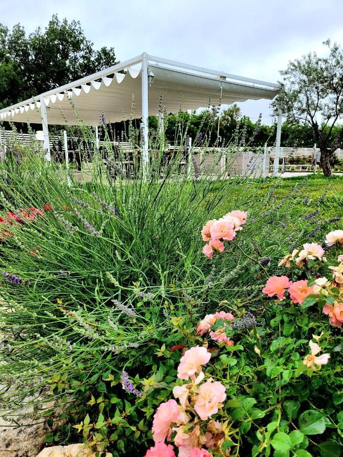 La Collina Dei Cavalieri Villa Belvedere Ostrense Ngoại thất bức ảnh