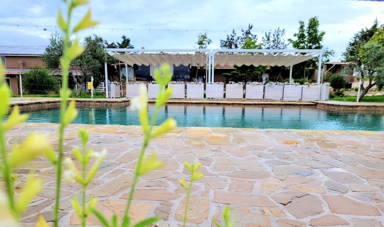 La Collina Dei Cavalieri Villa Belvedere Ostrense Ngoại thất bức ảnh