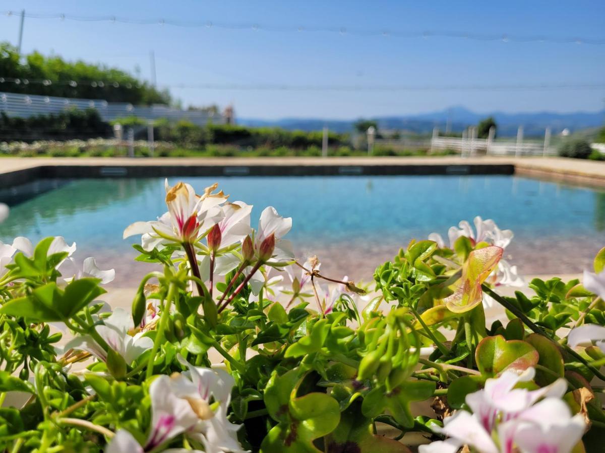 La Collina Dei Cavalieri Villa Belvedere Ostrense Ngoại thất bức ảnh
