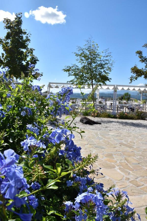 La Collina Dei Cavalieri Villa Belvedere Ostrense Ngoại thất bức ảnh