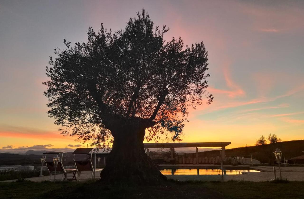 La Collina Dei Cavalieri Villa Belvedere Ostrense Ngoại thất bức ảnh